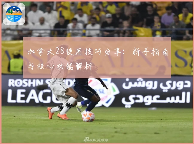 加拿大28使用技巧分享：新手指南与核心功能解析