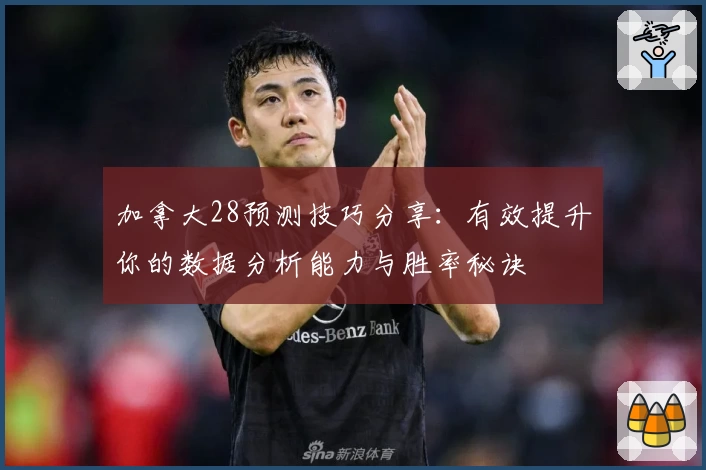 加拿大28预测技巧分享：有效提升你的数据分析能力与胜率秘诀