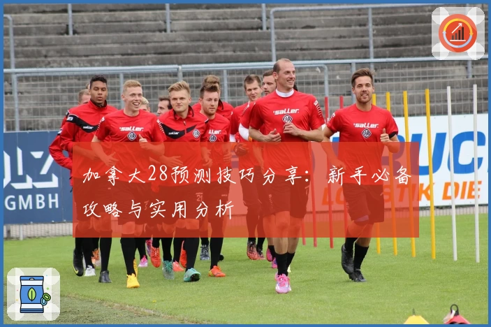 加拿大28预测技巧分享：新手必备攻略与实用分析