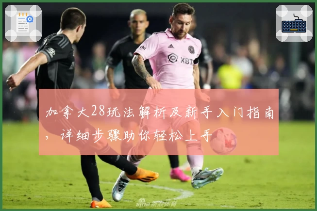 加拿大28玩法解析及新手入门指南，详细步骤助你轻松上手