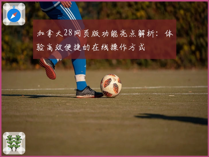 加拿大28网页版功能亮点解析：体验高效便捷的在线操作方式