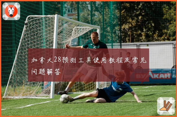 加拿大28预测工具使用教程及常见问题解答