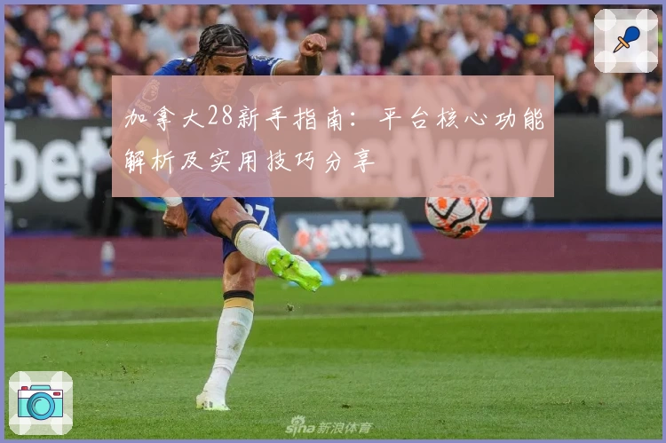 加拿大28新手指南：平台核心功能解析及实用技巧分享