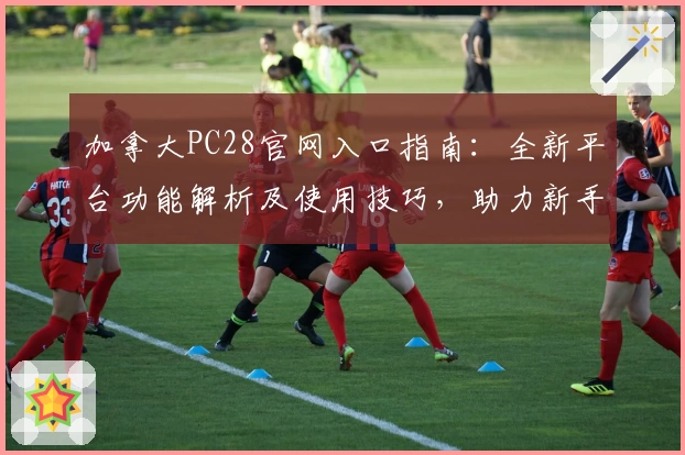 加拿大PC28官网入口指南：全新平台功能解析及使用技巧，助力新手快速上手高效体验