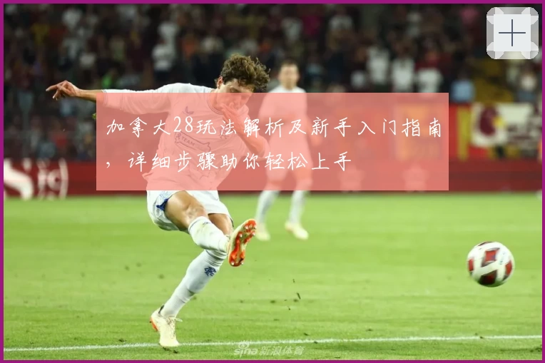 加拿大28玩法解析及新手入门指南，详细步骤助你轻松上手