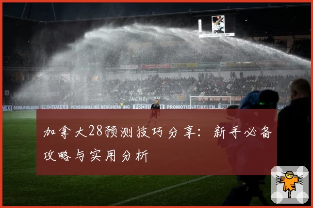 加拿大28预测技巧分享：新手必备攻略与实用分析