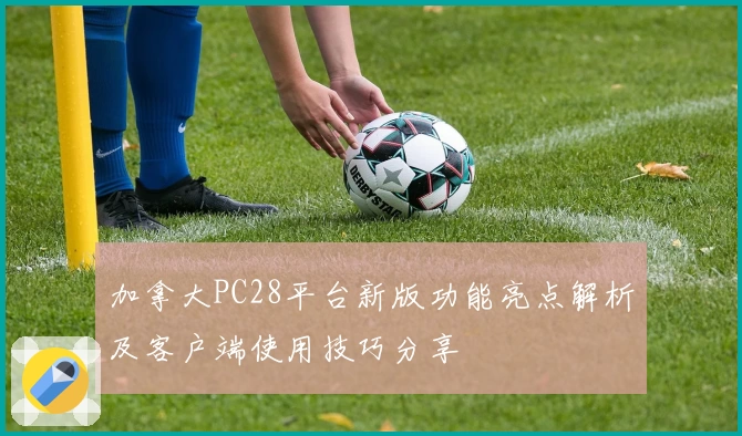 加拿大PC28平台新版功能亮点解析及客户端使用技巧分享