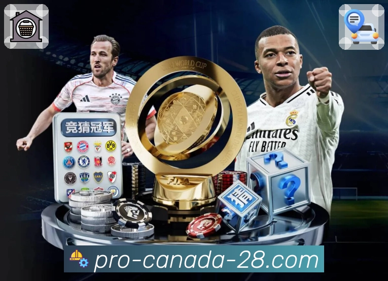 加拿大28APP，带来更纯净的交互体验