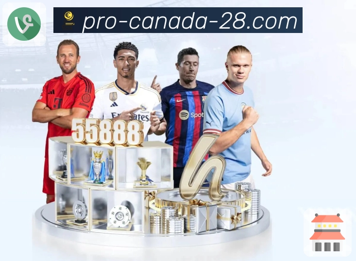 掌握最新开奖动态，上加拿大28网页端就够